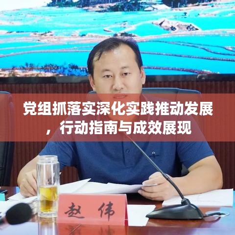 党组抓落实深化实践推动发展，行动指南与成效展现