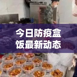 今日防疫盒饭最新动态，最新消息汇总