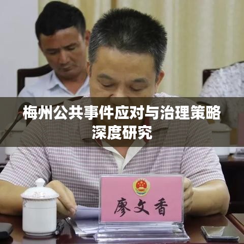 梅州公共事件应对与治理策略深度研究