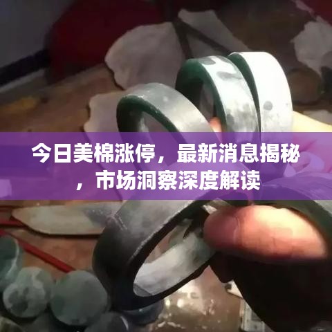 今日美棉涨停，最新消息揭秘，市场洞察深度解读