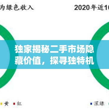 独家揭秘二手市场隐藏价值，探寻独特机遇