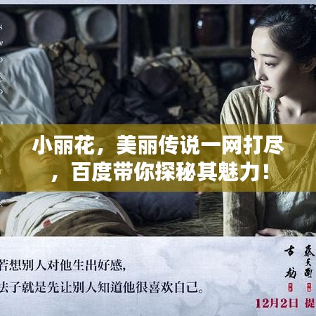 小丽花，美丽传说一网打尽，百度带你探秘其魅力！