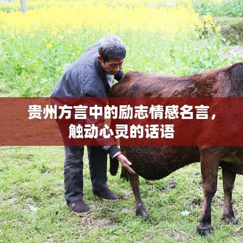 贵州方言中的励志情感名言，触动心灵的话语