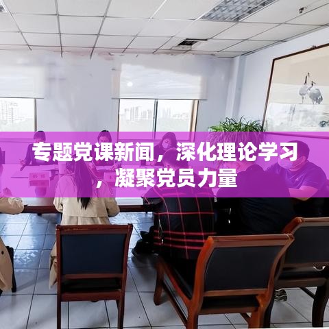 专题党课新闻，深化理论学习，凝聚党员力量