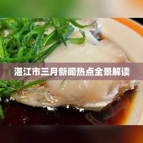 湛江市三月新闻热点全景解读