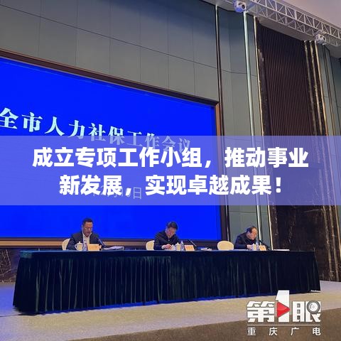成立专项工作小组，推动事业新发展，实现卓越成果！