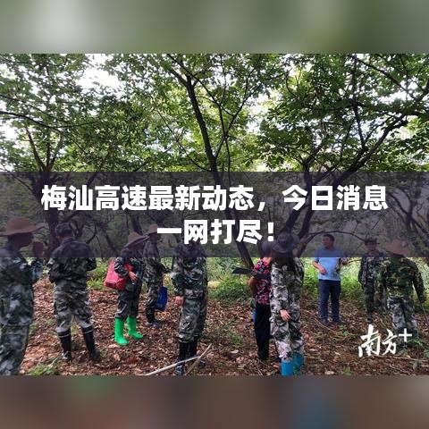 梅汕高速最新动态，今日消息一网打尽！