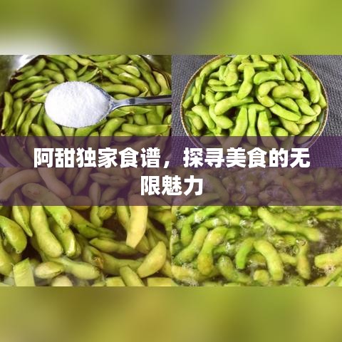 阿甜独家食谱，探寻美食的无限魅力
