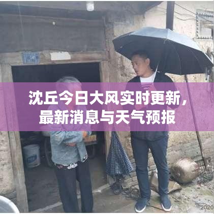 沈丘今日大风实时更新，最新消息与天气预报