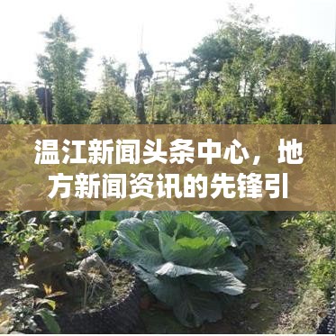 温江新闻头条中心，地方新闻资讯的先锋引领者