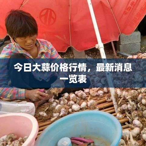 今日大蒜价格行情，最新消息一览表