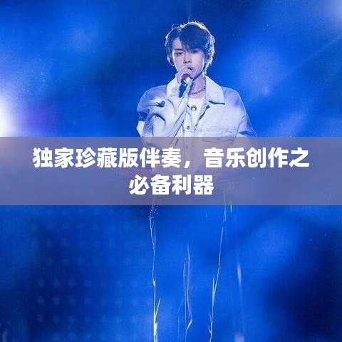 独家珍藏版伴奏，音乐创作之必备利器