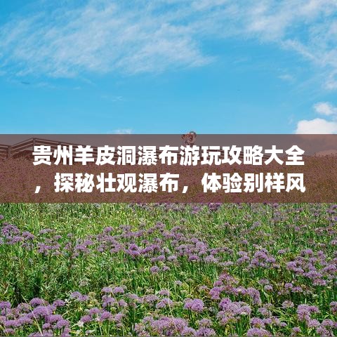 贵州羊皮洞瀑布游玩攻略大全，探秘壮观瀑布，体验别样风情！