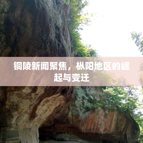 池鱼笼鸟