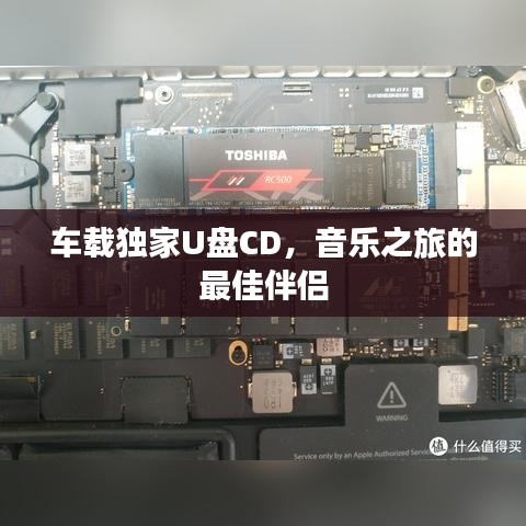 金石为开