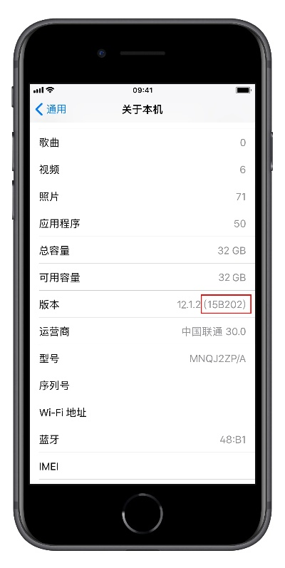 苹果a是什么版本,精确数据解释定义_高级款_v8.398
