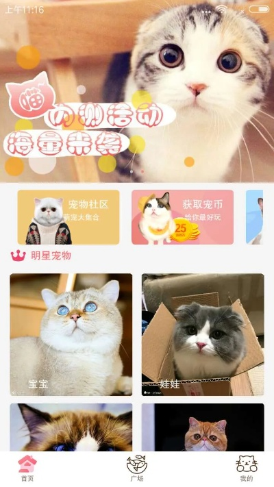 猫社区官方下载,数据解析导向策略_VIP_v6.776