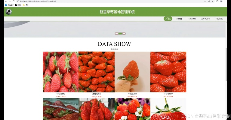 新版本草莓,深度数据应用策略-储蓄版_v9.833