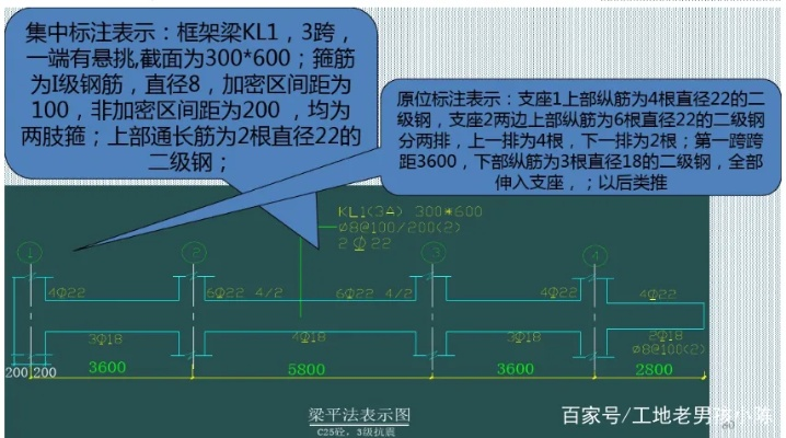 官方下载钢筋图集,高速响应计划实施_Holo_v6.990