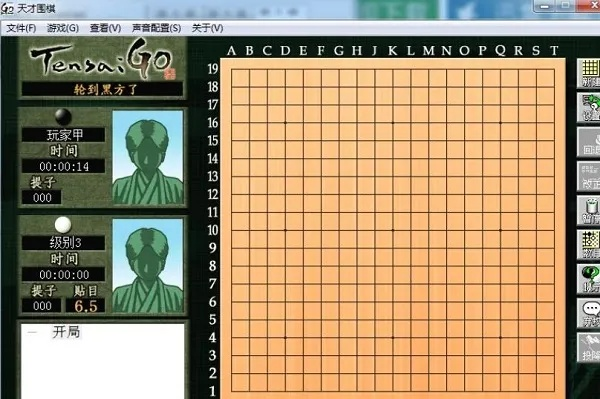 天顶围棋6官方下载及手游坐骑凤凰，新手友好版介绍与操作指南