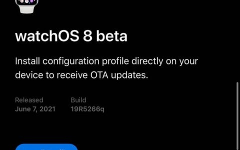 皮皮果官方下载或企鹅激活码,全面分析解释定义_watchOS_v2.842