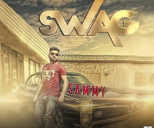 台湾swag官方下载跟我是掌门人单机版,实地执行分析数据_8K_v9.504