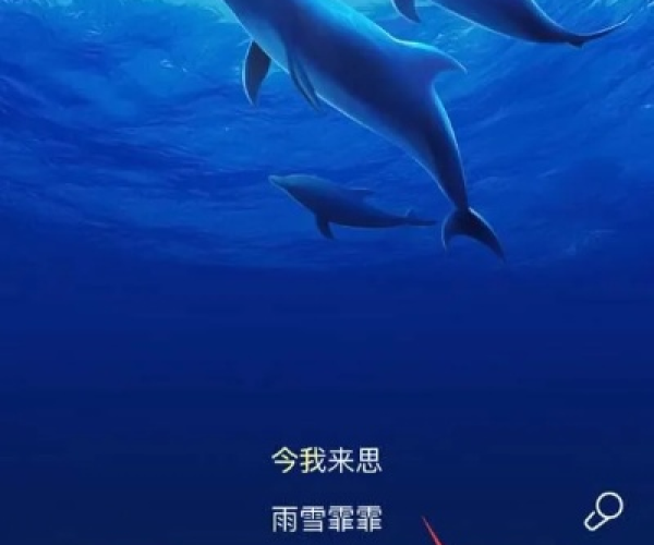 酷狗hd版本同心动小猫官方下载,精细设计方案&amp;安卓款_v4.690